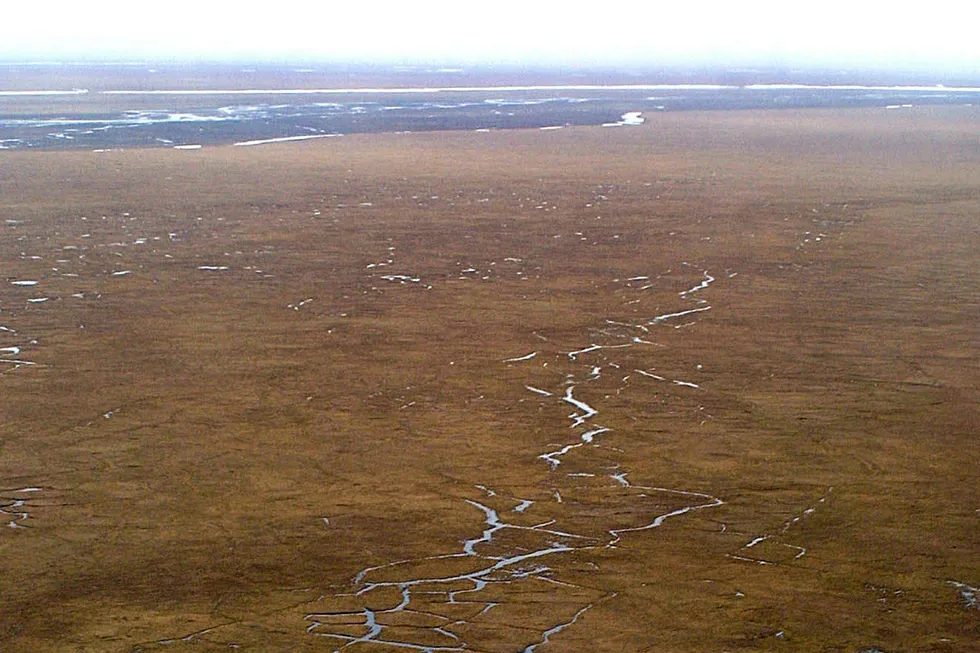 ANWR measure: The coastal plain of Alaska's Arctic National Wildlife Refuge (ANWR)