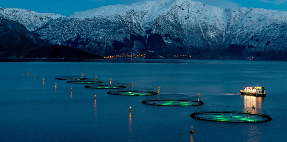 Selvsagt bør lakseoppdrettsnæringen underlegges regulering, men reguleringen skal være fornuftig og det er rett og slett ikke trafikklysene, skriver Martin Jaffa. Bildet er fra Lingalaks-lokalitet i Hardanger.