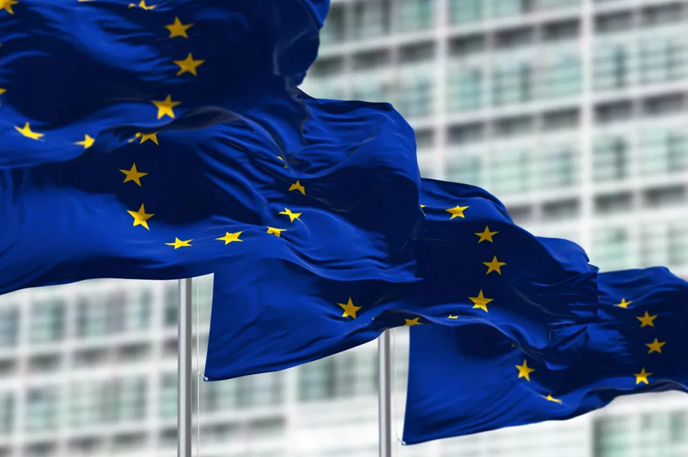 EU flags outside the European Parliament.