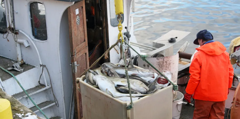 Endelige fartøykvoter på torsk, sei og hyse vil være på plass først i neste uke, opplyser Fiskeridirektoratet.