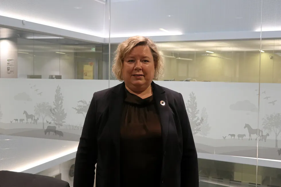"We do not see any new, specific reasons for fish dying," Norwegian Food Safety Authority Fish health and Fish welfare Section Head Lise Rokkones said.