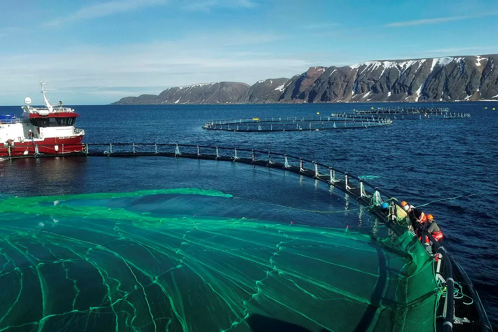 Fiskeoppdrett bidro positivt til den økonomiske aktiviteten i Norge i tredje kvartal. Her fra Salmars anlegg i Syltefjorden i Båtsfjord. Foto: Ronald Wærnes