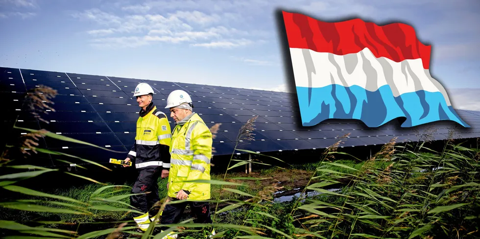 Det er så mye fornybar energi i Nederland søndag, og så lite forbruk, at strømmarkedet i praksis kollapset. Norske forbrukere får betalt 12 øre/kWh for å bruke strøm i fire timer søndag (før nettleie og avgifter). Bildet er fra Statkrafts solanlegg i Nederland.