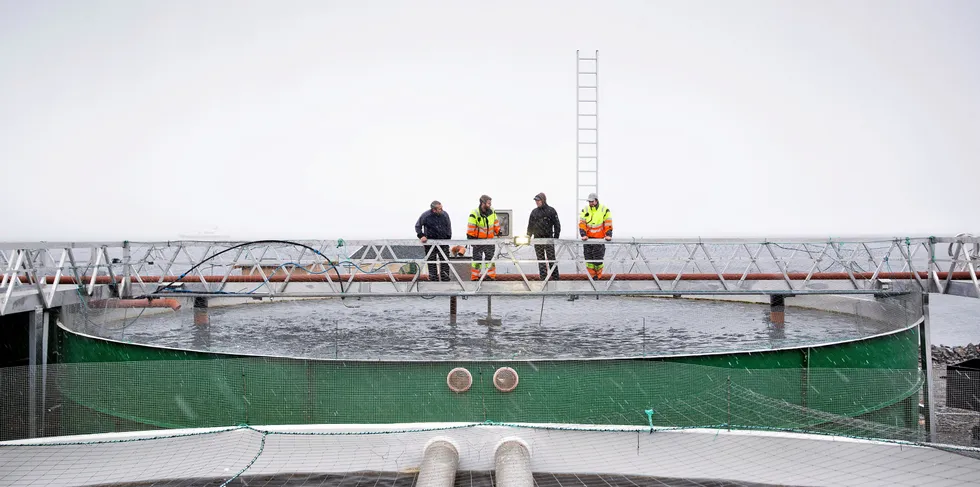 VEKSTSCENARIO: Legger vi godviljen til, peker et svært optimistisk scenario til en vekst på 6,3 millioner tonn innen 2050. Bildet er fra Tjeldbergodden Settefisk, som driver landbasert oppdrett av stor postsmolt.