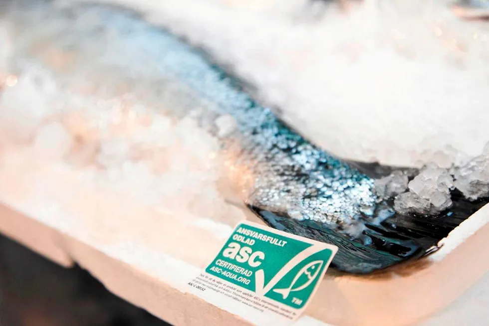 Seafood eco-labels aren't enough to ensure the supply chain is sustainable, one expert tells IntraFish.