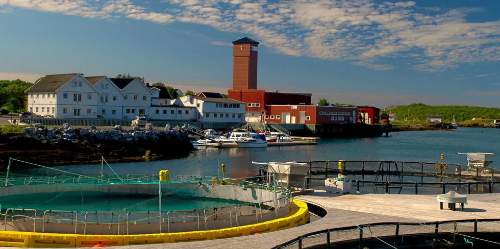 Norsk havbruksakademi på Toft Brygge i Brønnøy