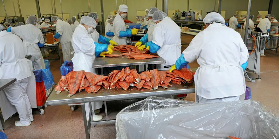 Bearbeiding av amerikansk sockeye (stillehavslaks) ved Suempol-fabrikken i byen Bielsk-Podlaski. Det er Polens nest største og ett av Europas aller største lakserøykerier.