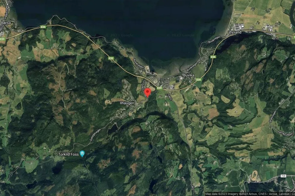 Området rundt Snøfugllia 44, Skaun, Trøndelag