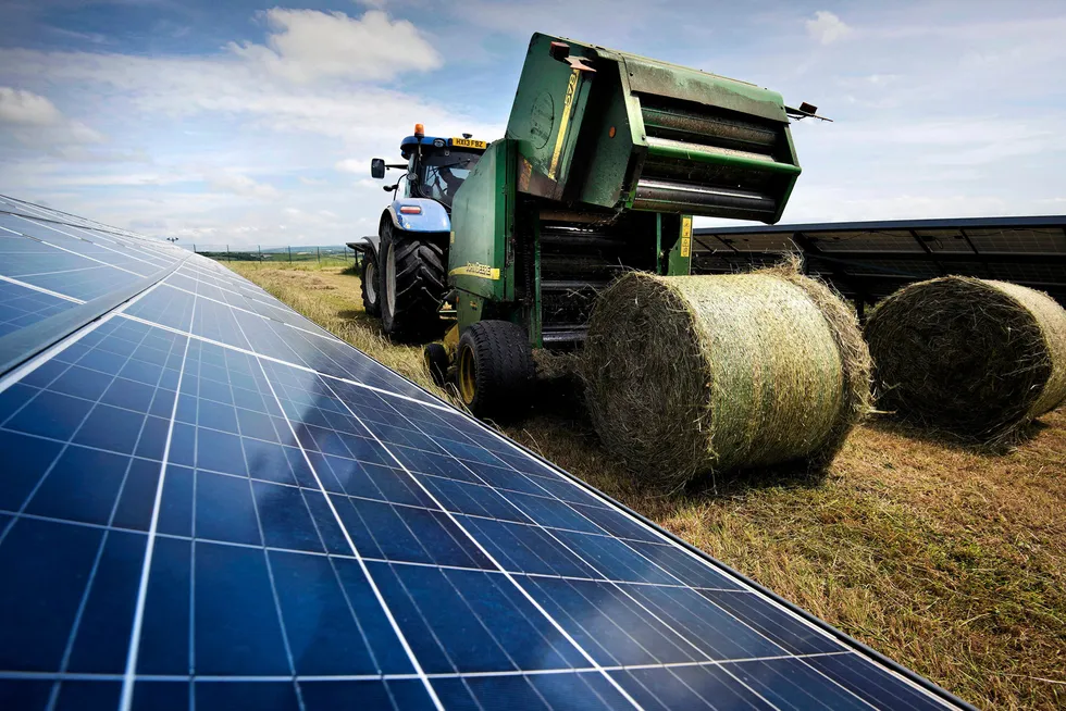 New projects: the construction of solar farms is estimated to be bringing 600 jobs to Arkansas and Louisiana