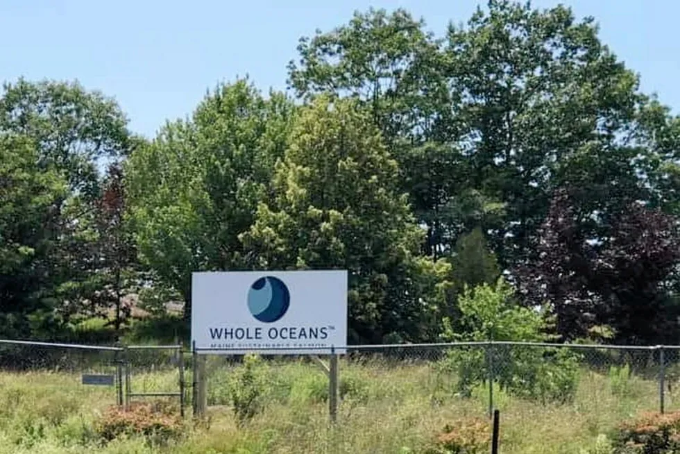 An empty lot where land-based salmon farmer Whole Oceans is reportedly planning to build its operation.