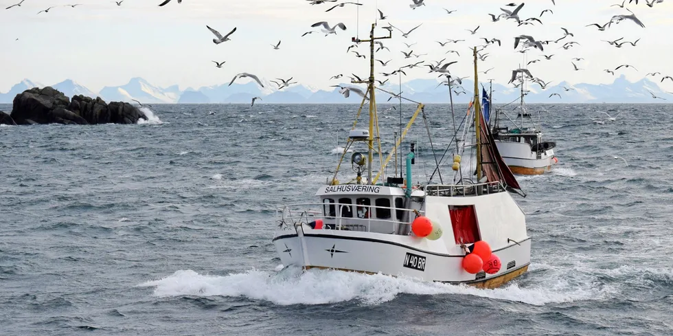 Brønnøysund-registrerte «Salhusværing» er en av åpen gruppe-båtene som ikke lyktes i Lofoten denne vinteren. Her fotografert på vei inn til Ballstad.