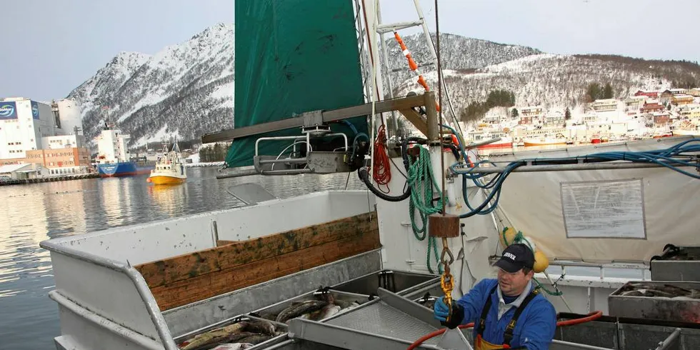 Torskefiskerne kan regne med 13 prosent svakere driftsgrunnlag til neste år. Foto: Terje Jensen