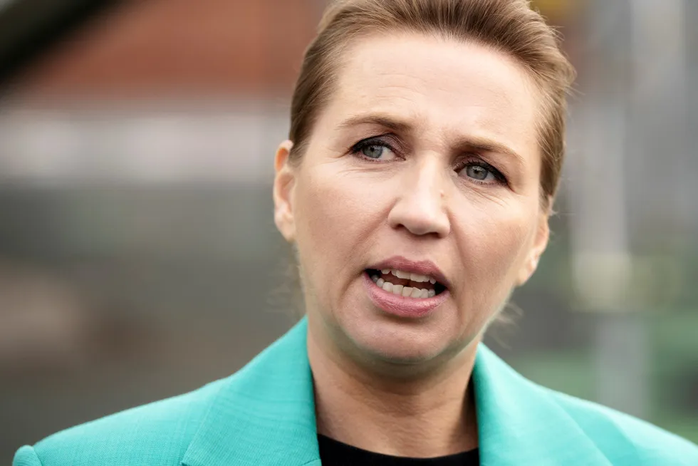 Decision making: the Danish government is led by Prime Minister Mette Frederiksen