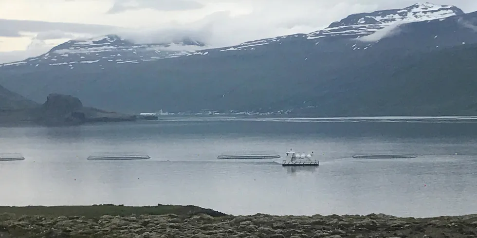 – Vi jobber tett med MAST for å håndtere situasjonen ved lokaliteten vår Gripaldi, sier Laxar-sjefen.