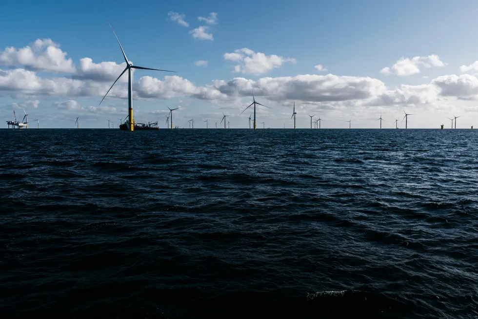 Nordmenn er villig til å akseptere eksport av vindkraft fra installasjoner langt til havs, skriver artikkelforfatterne. Bildet: Arkona-vindparken i tyske farvann i Østersjøen.