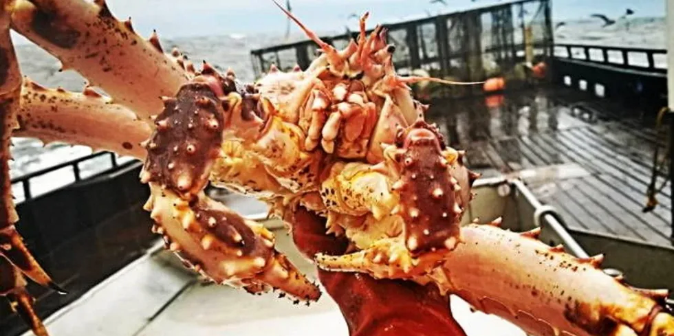 . Alaska's iconic Bristol Bay red king crab fishery was closed last fall for the first time in over 25 years a.
