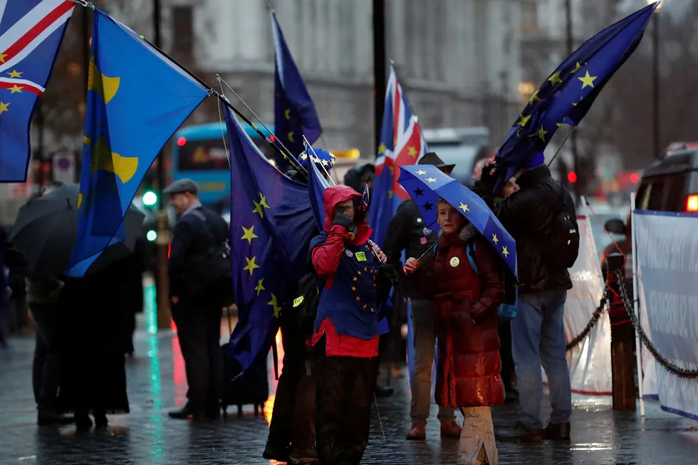 Et flertall av britene vil nå bli i EU. Her fra en pro-EU-demonstrasjon i London denne uken.
