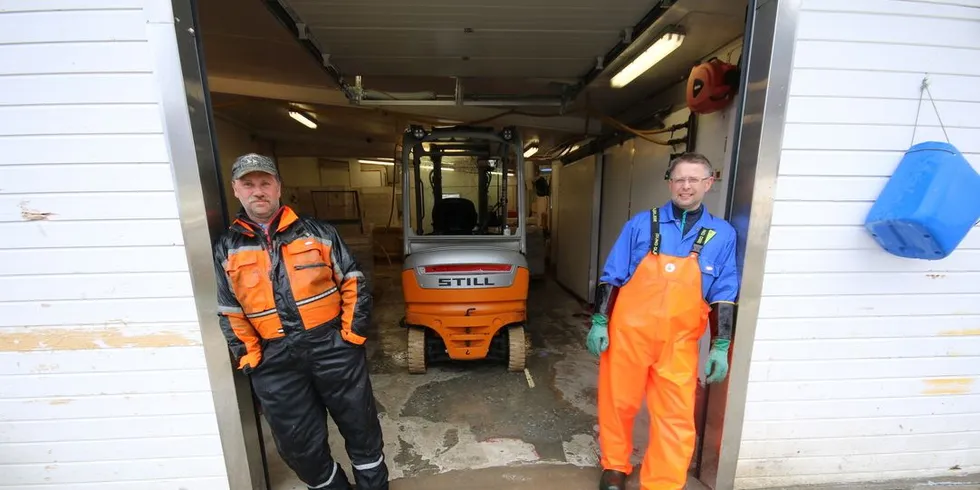 Hans Ivar Pedersen og Leif Sigurd Hansen i Oldervik Fiskeindustri. Foto: Arne Fenstad.