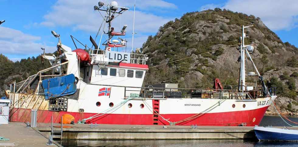 Det gode rekefisket på revet fortsetter og «Pilot» av Søgne tok nylig en fangst på 2,9 tonn, derav 2,2 tonn kokt, som ble landet til Fiskelaget i Mandal.