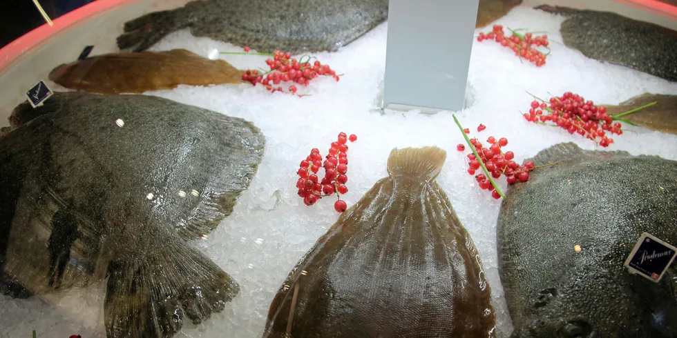 Stolt Sea Farm økte salget i tredje kvartal, blant annet på grunn av sterk etterspørsel i sommer.