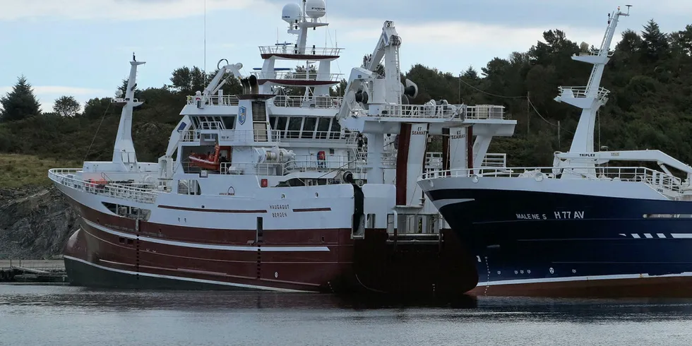 HENSTAND: Fiskebåtrederiene bør få henstand med å innbetale merverdiavgift på linje med øvrige virksomheter, mener Fiskebåt.