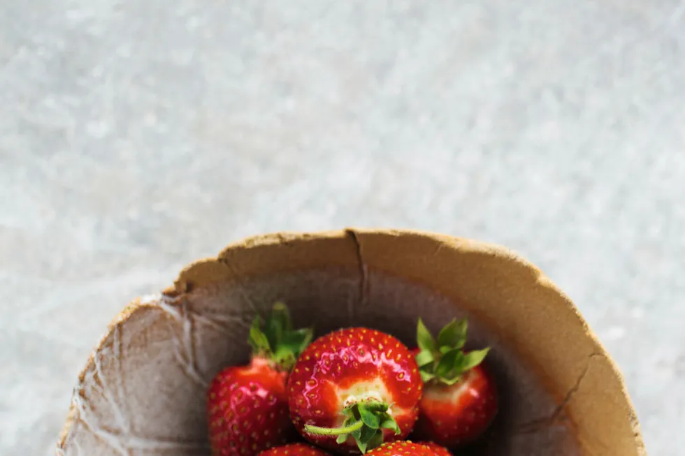 Heile væla. Michelin-kokk Sven Erik Renaa kan lage de vanskeligste retter, men aller best synes han det er å sette seg i skyggen med en skål solmodne jordbær fra Brimse.