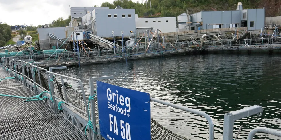 Naturvernforbundet har anmeldt Grieg Seafood for klorutslippet ved slakteriet i Alta.