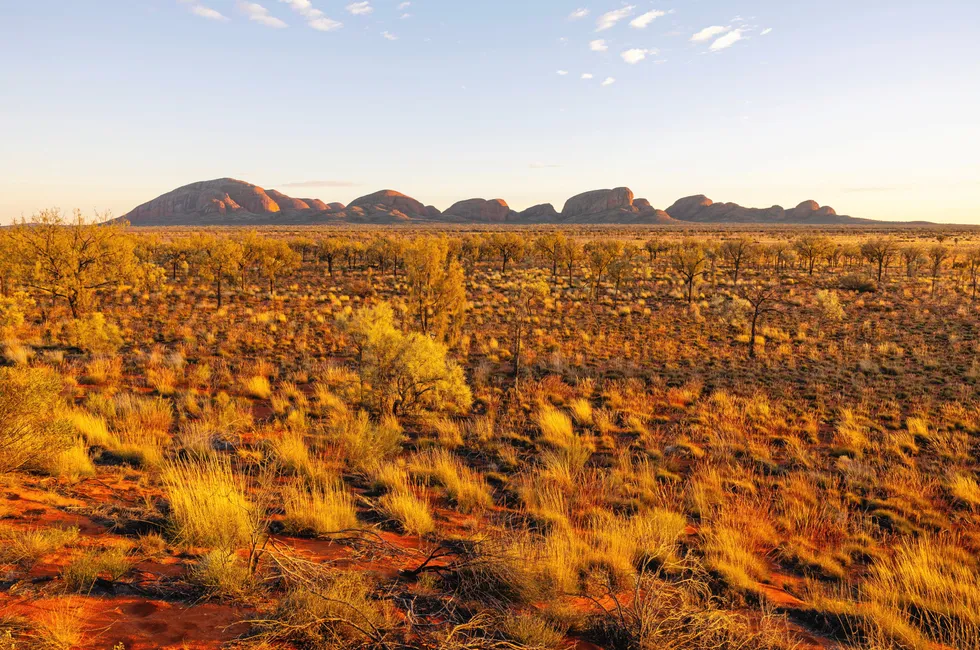 The Australian outback in the Kata Tjuṯa National Park, Northern Territories.