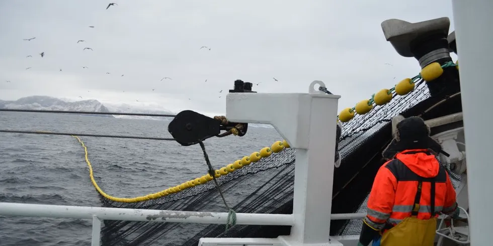 Norske fiskere stortrives i jobben, men mange bekymrer seg for helsa. Her er det fisking etter NVG-sild på «Hillersøy» i 2013. Illustrasjonsfoto: Einar Lindbæk