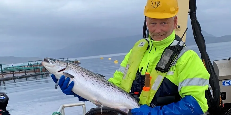 Tom Jarle Bjørkly er styreleder i Salmon Group og daglig leder i Mortenlaks i Ofoten i Nordland.