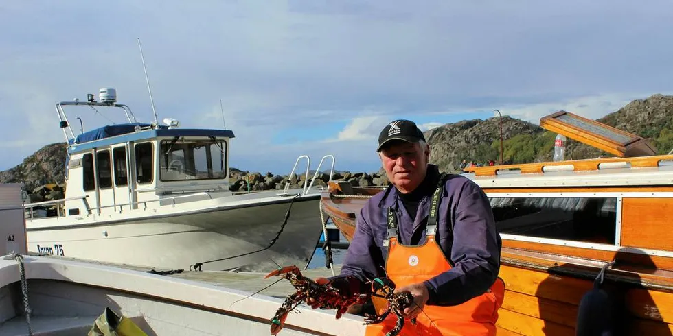 GOD FANGST: - Jeg fisker på yttersiden og det ser ut til at hummerfisket er litt bedre enn i fjor, sier fisker Erling Kristensen fra Korshamn. Han har fått 23 hummer på det beste trekket av 50 teiner.Foto: Roy Harbakk