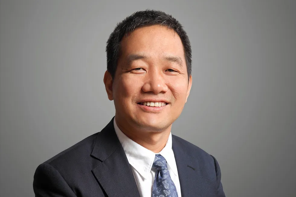 Experience: Yang Lei, vice president of the Institute of Energy Research at Peking University.