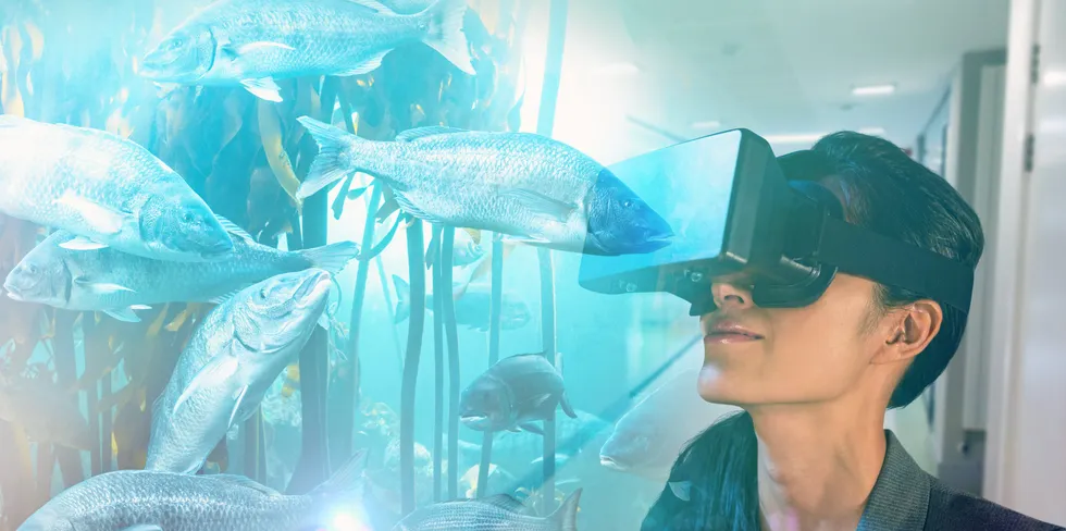 Innovators are re-imagining how fish are raised and fed, and they are changing the global aquaculture industry in the process.