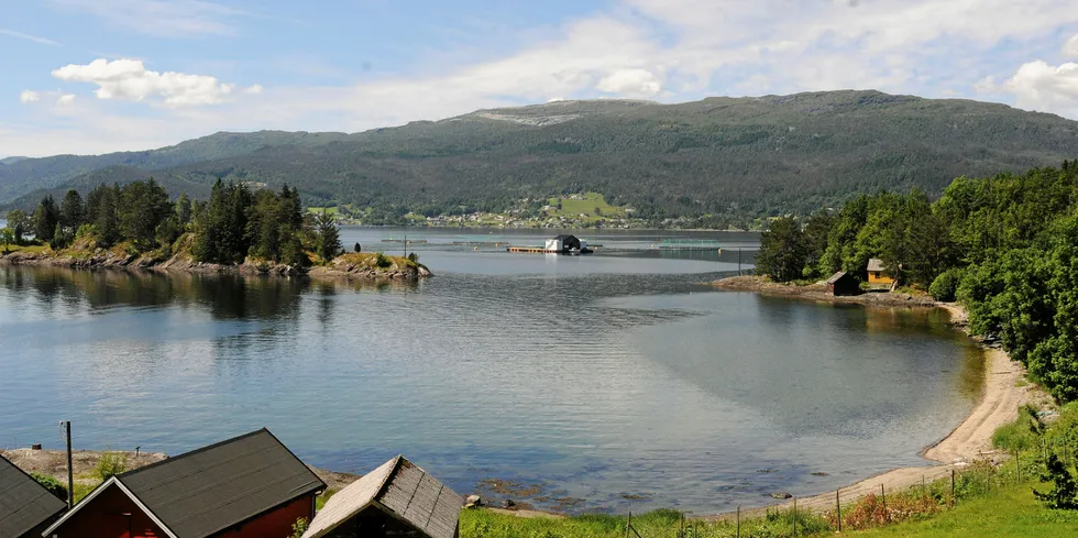 Heradsstyret i Kvam sier Ja til oppdrett ved Kvamsøy i Hardangerfjorden der Lingalaks ønsker å drive oppdrett. Her fra selskapets lokalitet i Strandebarm.