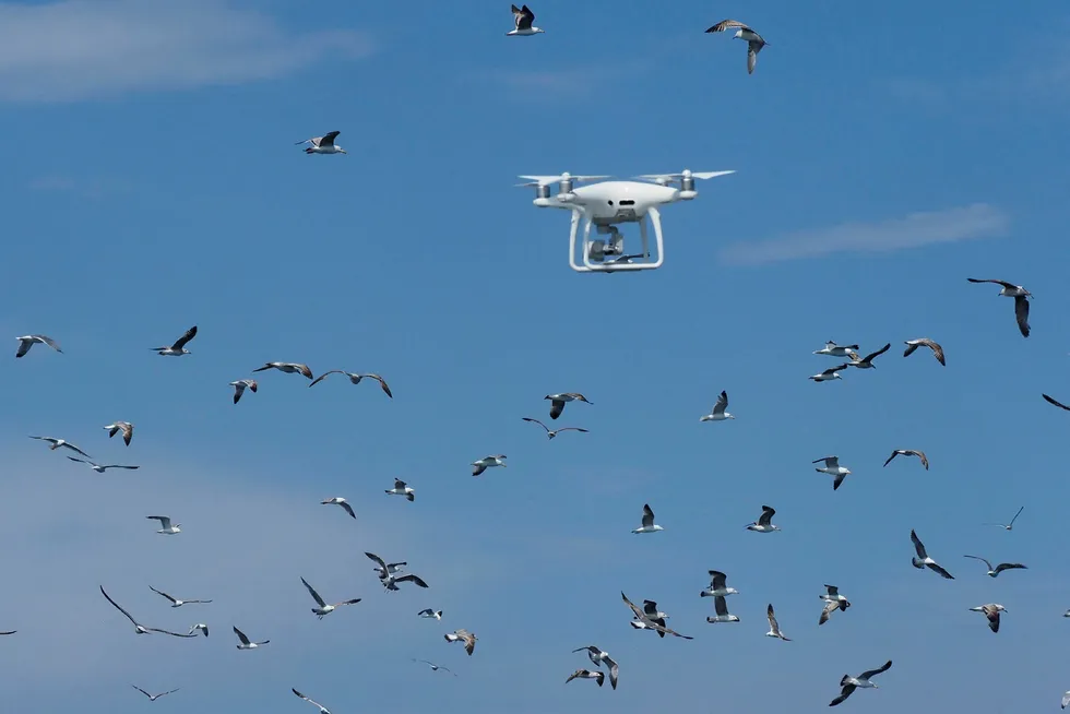 Denne dronen ble fotografert i Frankrike i mai, da den ble brukt av ingeniører i forbindelse med planleggingen av en vindmøllepark.
