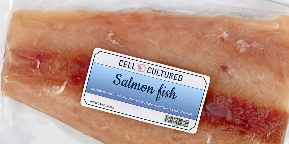 Lab grown cell cultured salmon fish concept for artificial in vitro seafood production with frozen packed raw fish with made up label . cellular meat seafood alternative seafood cell-based seafood lab-grown food.