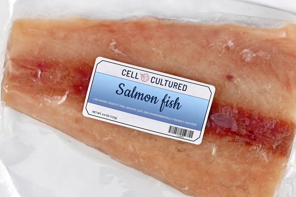 Lab grown cell cultured salmon fish concept for artificial in vitro seafood production with frozen packed raw fish with made up label . cellular meat seafood alternative seafood cell-based seafood lab-grown food.