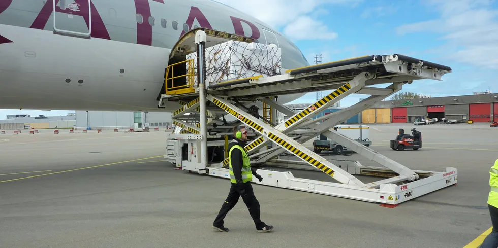 Det var lykkeligere tider i Bodø i juni i år: Et brett med laksekasser, tilbringer-bil, highloader som er en spesiell lift til lasting og lossing av store fly, og en Boeing 777.