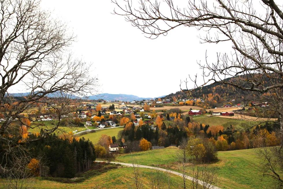 Fensfeltet i Telemark, der gruveselskapet Rare Earths Norway (REN) har funnet store forekomster av sjeldne jordartselementer.
