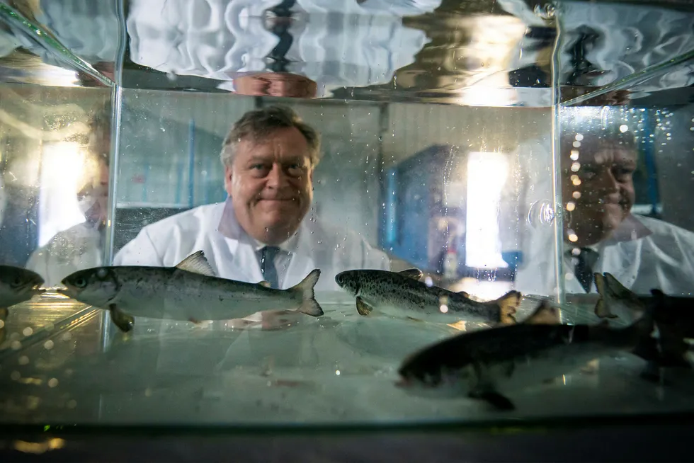 Fiskeriminister Harald T. Nesvik ser på laksesmolt under et besøk til Cermaq sitt smoltanlegg i Punta Arenas i Chile