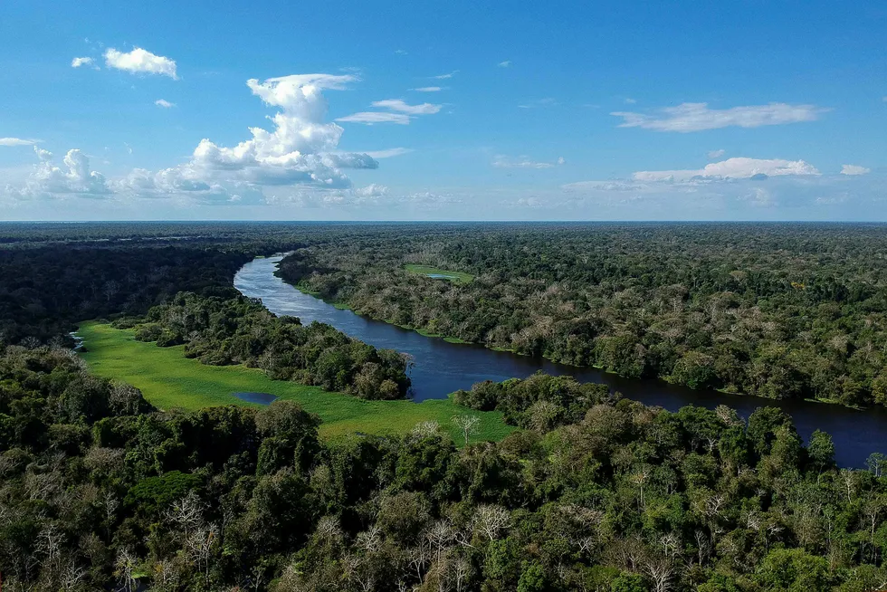 Brasils president Jair Bolsonaro har fjernet et forbud mot dyrking av sukkerrør i Amazonas. Her fra Miramar i delstaten Amazonas.