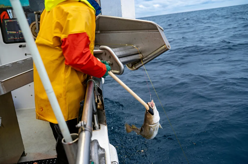 Fiskarlaget mener dagens regler oppleves som svært diskriminerende av den lokale lineflåten som drifter med stampline og som tradisjonelt har benyttet de store fjordene i Finnmark i perioder med urolig vær i vintermånedene.