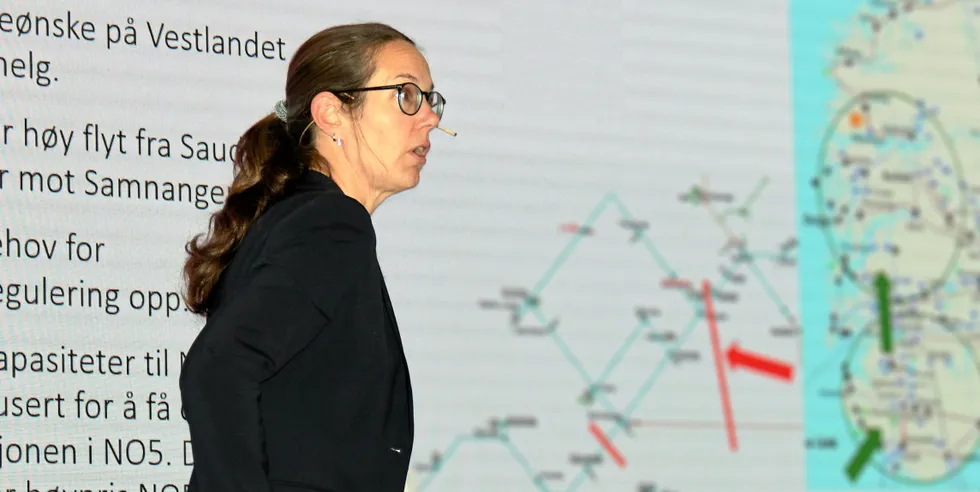 Maria Brekke Langum, direktør for Landssentralen til Statnett, holdt innlegg på Systemansvarliges årskonferanse. Deler av bildet er gjort utydelig av Europower.