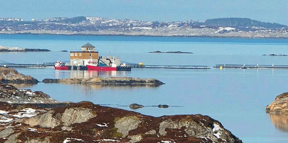 Flere tusen laks har rømt fra Omsøyholman (bildet) og det ble oppdaget rift i nota på naboanlegget Edøya. Bildet er fra 2013.