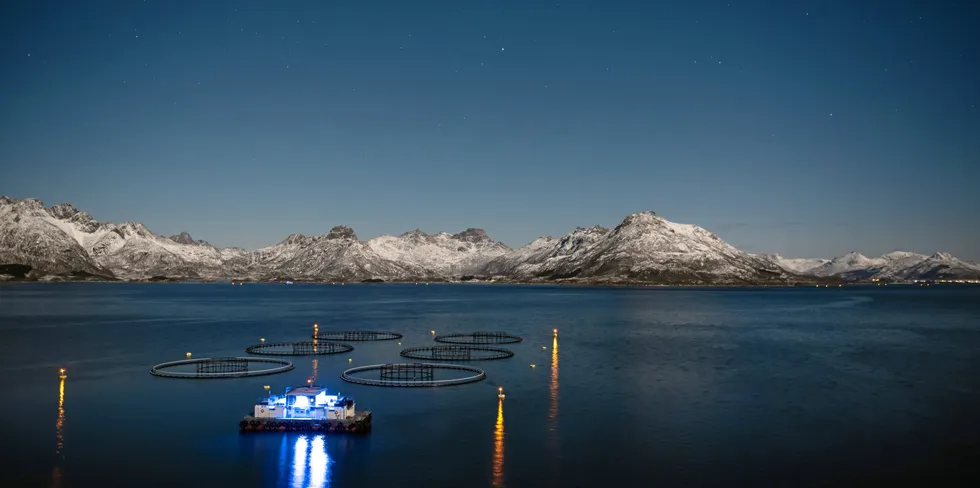 Samarbeid med villfisknæringen vil kunne gi torsken (uavhengig av opprinnelse) høyere status og pris som følge av forutsigbare leveranser gjennom hele året. Noe som vil styrke hele torskenæringen, skriver Maiken Johnsen i Cod Cluster.