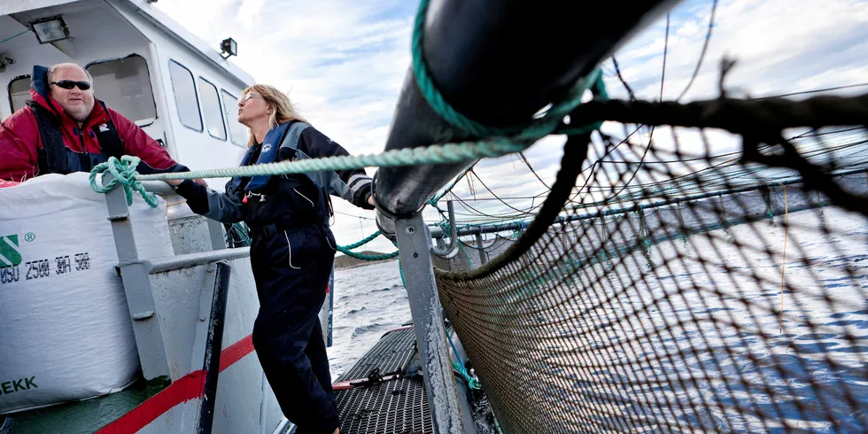 Erviks Laks Og Ørret AS på Frøya.