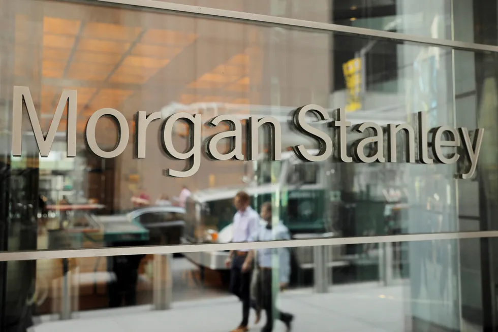 Net Zero investments: Morgan announced its 2030 targets to reach net zero financed emissions by 2050
