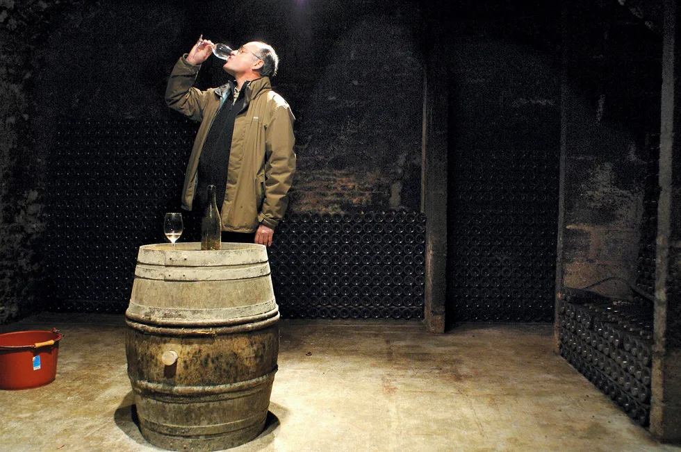 Bernard Raveneau prøvesmaker vin i vinkjelleren sin midt i Chablis. Foto: Helge Hansen