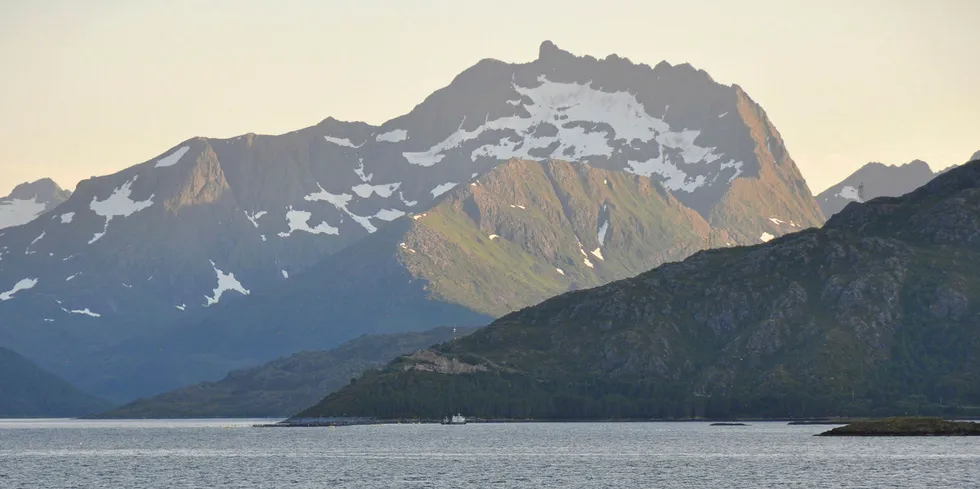 Majestetisk næring under majestetiske fjell. Verdiskaping på Nordlaks' lokalitet Bogelva i Gullesfjorden på grensen mellom Troms og Nordland.