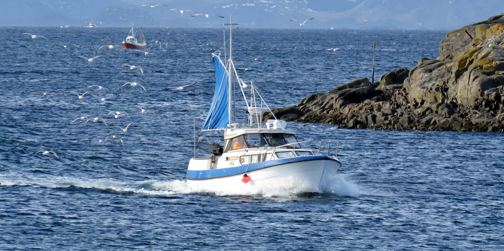 ORGANISERT: Kyst- og fjordfiskerne får en egen organisasjon gjennom Bivdu, og akkurat nå har kongekrabbefisket første prioritet på dagsordenen.